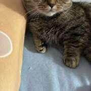 ヒメ日記 2026/01/15 16:26 投稿 ゆうあ お姉さんSelect