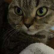 ヒメ日記 2026/01/17 15:36 投稿 ゆうあ お姉さんSelect