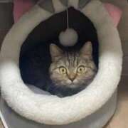 ゆうあ 18時から☝️ お姉さんSelect