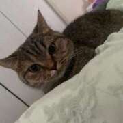 ヒメ日記 2026/02/12 13:17 投稿 ゆうあ お姉さんSelect