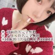 ヒメ日記 2026/02/18 12:16 投稿 ゆうあ お姉さんSelect