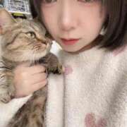 ヒメ日記 2026/03/03 12:36 投稿 ゆうあ お姉さんSelect