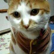 ヒメ日記 2025/11/22 12:20 投稿 はるな 熟女の風俗最終章 蒲田店