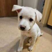 ヒメ日記 2025/12/14 13:20 投稿 はるな 熟女の風俗最終章 蒲田店