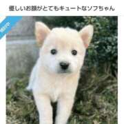 ヒメ日記 2025/12/30 11:20 投稿 はるな 熟女の風俗最終章 蒲田店