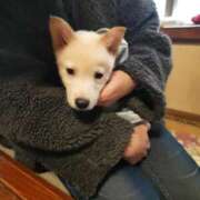 はるな はるな 熟女の風俗最終章 蒲田店