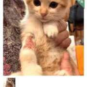 ヒメ日記 2026/02/04 11:00 投稿 はるな 熟女の風俗最終章 蒲田店