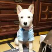 ヒメ日記 2026/04/05 14:00 投稿 はるな 熟女の風俗最終章 蒲田店