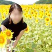 ヒメ日記 2026/07/27 07:46 投稿 みわ 太田人妻城