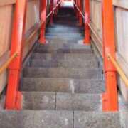 ヒメ日記 2025/11/29 11:55 投稿 せんり 熟女の風俗最終章 新潟店