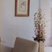 ヒメ日記 2025/12/29 11:23 投稿 せんり 熟女の風俗最終章 新潟店