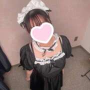 きょうか 戻ってるよ〜 SPIN(スピン)