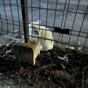 ヒメ日記 2025/12/08 18:03 投稿 みゆき 池袋人妻城