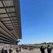 ヒメ日記 2026/02/03 21:33 投稿 みゆき 池袋人妻城