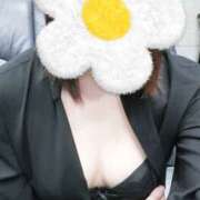 ヒメ日記 2025/12/14 00:18 投稿 水谷(みずたに)上品なのにエロい地元妻♡ 秘密の逢瀬…○○妻(西条・東予・今治)