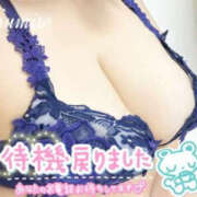 SUMIRE るんるん💓 Big Tits(ビッグティッツ)