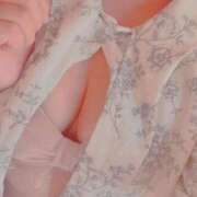 ヒメ日記 2025/11/10 10:19 投稿 はな 白いぽっちゃりさん