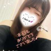 ヒメ日記 2025/11/14 23:52 投稿 はな 白いぽっちゃりさん