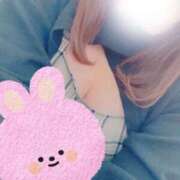 ヒメ日記 2025/11/23 10:24 投稿 はな 白いぽっちゃりさん