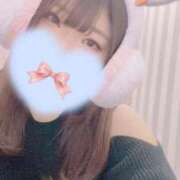 ヒメ日記 2026/02/11 15:02 投稿 はな 白いぽっちゃりさん