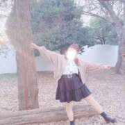 ヒメ日記 2026/02/12 00:12 投稿 はな 白いぽっちゃりさん