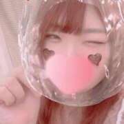 ヒメ日記 2026/02/14 14:28 投稿 はな 白いぽっちゃりさん