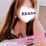 ヒメ日記 2025/11/03 15:25 投稿 あかね 熟女総本店