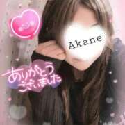 ヒメ日記 2025/11/03 23:55 投稿 あかね 熟女総本店