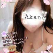 ヒメ日記 2025/11/10 20:27 投稿 あかね 熟女総本店