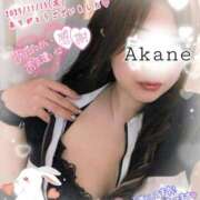 ヒメ日記 2025/11/14 14:25 投稿 あかね 熟女総本店