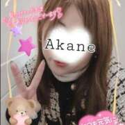 ヒメ日記 2025/11/15 15:55 投稿 あかね 熟女総本店