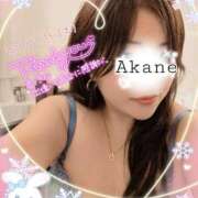 ヒメ日記 2025/11/16 13:55 投稿 あかね 熟女総本店