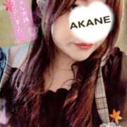 ヒメ日記 2025/11/16 22:09 投稿 あかね 熟女総本店