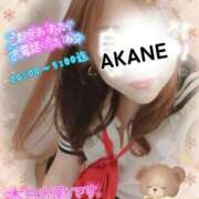 ヒメ日記 2025/11/18 06:35 投稿 あかね 熟女総本店