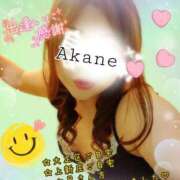 ヒメ日記 2025/11/19 20:35 投稿 あかね 熟女総本店