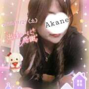 ヒメ日記 2025/11/29 23:08 投稿 あかね 熟女総本店