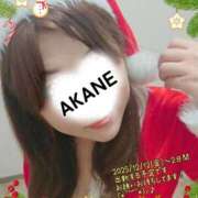 ヒメ日記 2025/12/11 21:48 投稿 あかね 熟女総本店