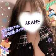 ヒメ日記 2025/12/12 14:28 投稿 あかね 熟女総本店