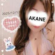 ヒメ日記 2025/12/13 14:08 投稿 あかね 熟女総本店