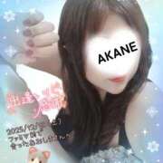 ヒメ日記 2025/12/14 23:38 投稿 あかね 熟女総本店