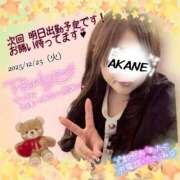 ヒメ日記 2025/12/25 22:30 投稿 あかね 熟女総本店