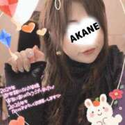 ヒメ日記 2025/12/31 10:48 投稿 あかね 熟女総本店