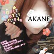 ヒメ日記 2026/01/01 15:58 投稿 あかね 熟女総本店