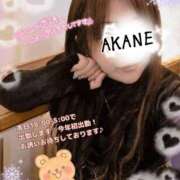 ヒメ日記 2026/01/08 16:48 投稿 あかね 熟女総本店