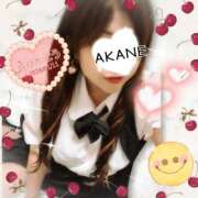 ヒメ日記 2026/01/11 23:52 投稿 あかね 熟女総本店