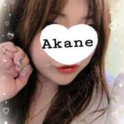 ヒメ日記 2026/01/28 23:52 投稿 あかね 熟女総本店