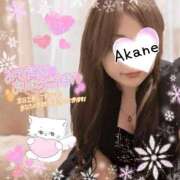 ヒメ日記 2026/02/18 17:42 投稿 あかね 熟女総本店