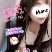 ヒメ日記 2026/02/19 15:52 投稿 あかね 熟女総本店