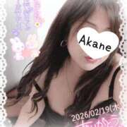 ヒメ日記 2026/02/20 15:05 投稿 あかね 熟女総本店