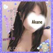 ヒメ日記 2026/02/21 14:42 投稿 あかね 熟女総本店